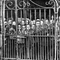 Chinese_immigration_act_small_square