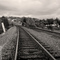 Transcont_rr_small_square