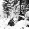 300px-battle_of_the_bulge_small_square