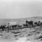 Wagon_train_small_square