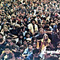 Herb-at-woodstock_1__small_square
