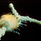Challenger-explosion_1__small_square