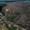 Woodstock_small_square