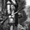 Daniel_boon_small_square