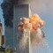 9_11_small_square