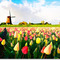 Watercolor-painting_small_square