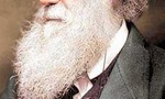 Darwin-1_tiny_landscape