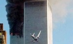 911_tiny_landscape