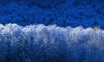 Winter_tiny_landscape