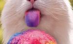 Funny-pictures-snow-cone-cat-tastes-the-rainbow_tiny_landscape