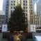 Rock_center_-_christmas_tree_small_square