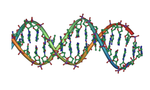 Dna_double_helix_horizontal_tiny_landscape