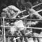 Loses%20hw%20title%20against%20leon%20spinks_small_square