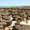 Stromatolites,%20hamelin%20pool,%20shark%20bay_small_square