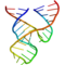 Minimal_hammerhead_ribozyme_structure_small_square