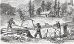 Working_sluice_tiny_landscape