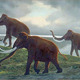 Quaternary%20period