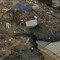 Ob-mz232_0311jq_d_20110311025237_small_square