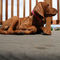 Picture%203_small_square