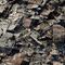 Shantytown-haiti-earthquake-aerial_11900_600x450_small_square