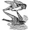 Owl%20and%20hawk_small_square