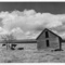247_small_square