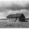 254_small_square