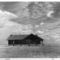 251_small_square