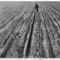 330_small_square