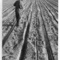 327_small_square