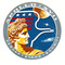 Apollo-17-patch_small_square