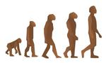 Human-evolution_tiny_landscape