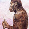 Australopithecus_small_square