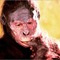 Australopithecus%20afarensis_small_square