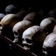 Rwandan%20genocide