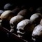 Rwandan%20genocide small square