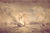 300px-british_burninng_warship_prudent_and_capturing_bienfaisant__siege_of_louisbourg_1758__maritime_museum_of_the_atlantic,_m55_7_1_tiny