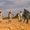 Sharecropping_small_square