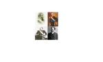 Presidentes%20del%20per%c3%ba%20(1866-1899)_tiny_landscape
