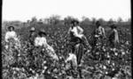 Slaves%20are%20working%20on%20plantation_tiny_landscape