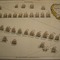 Battle%20of%20minorca_small_square