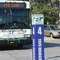 Bloomingtonbus_small_square