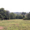 Pasture_small_square
