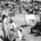 Egyptlarge_small_square