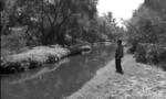 L_ed2fae9ed96d42239e77c8a8a3bac915_1__tiny_landscape