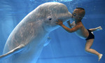 Whale_tiny_landscape