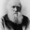 Darwin_small_square