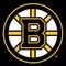 Bruins small square