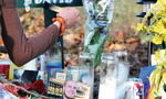 28nov-grubbsmemorial.jpg_tiny_landscape