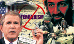 1217862925048_terrorism_t_tiny_landscape